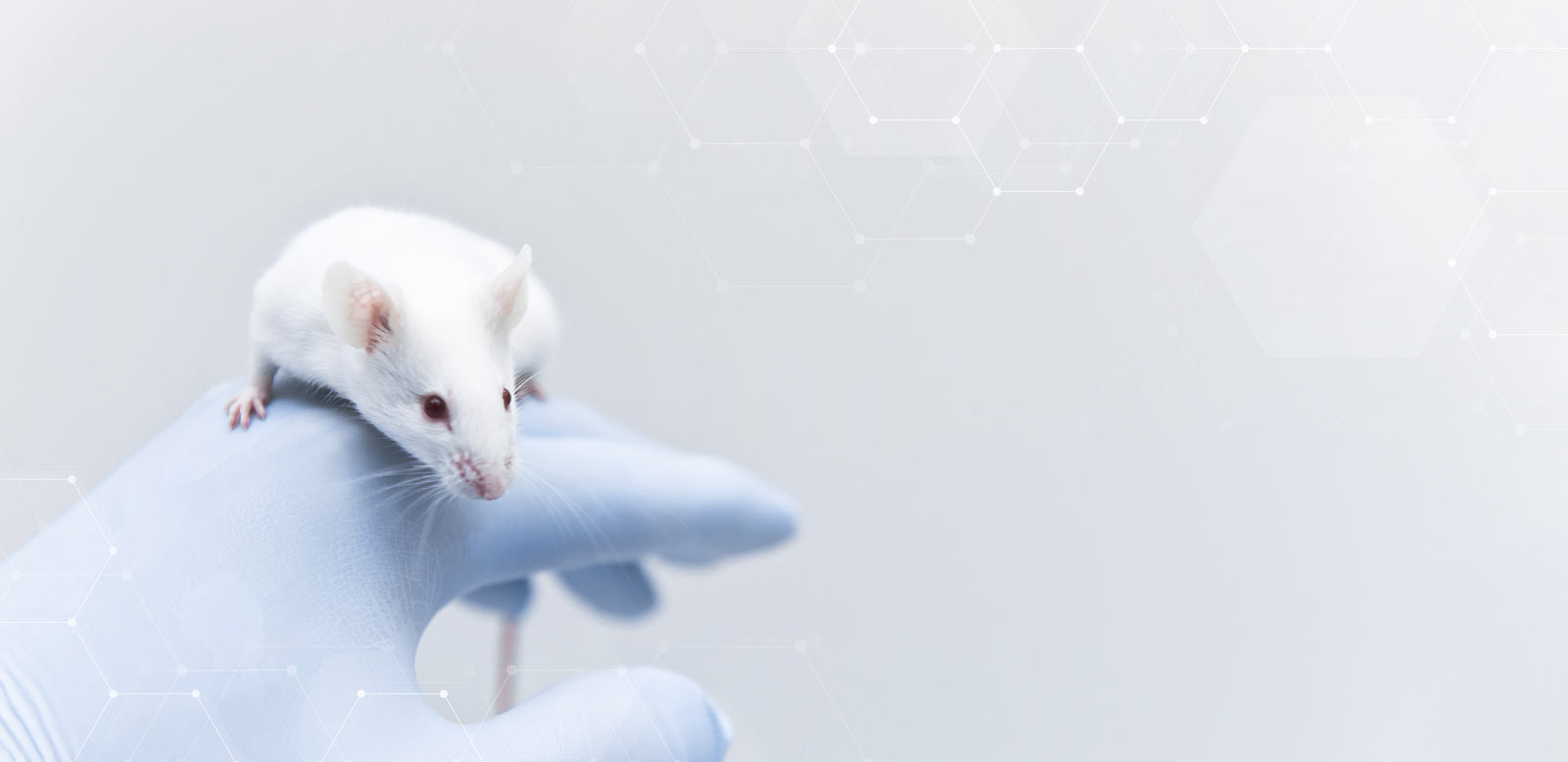 EUSAAT Background Banner 01