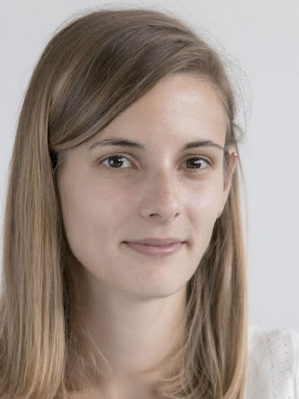 „Application of cardiomyocyte cell lines as models for heart diseases“ Thumbnail