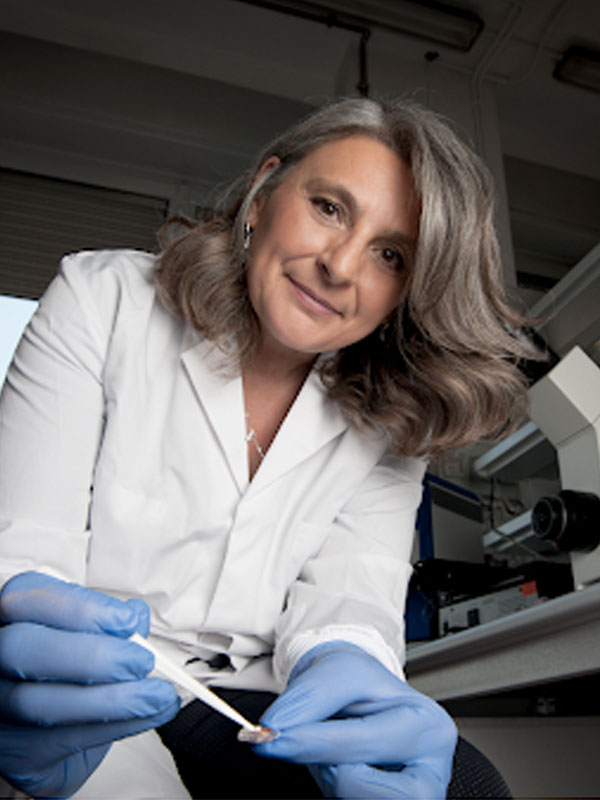 „Micro structured tools for cell modeling in the fourth dimension“ Thumbnail