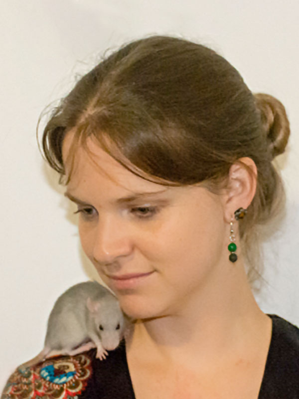 „Why estimating perinatal mortality of laboratory mice is more challenging than you think“ Thumbnail